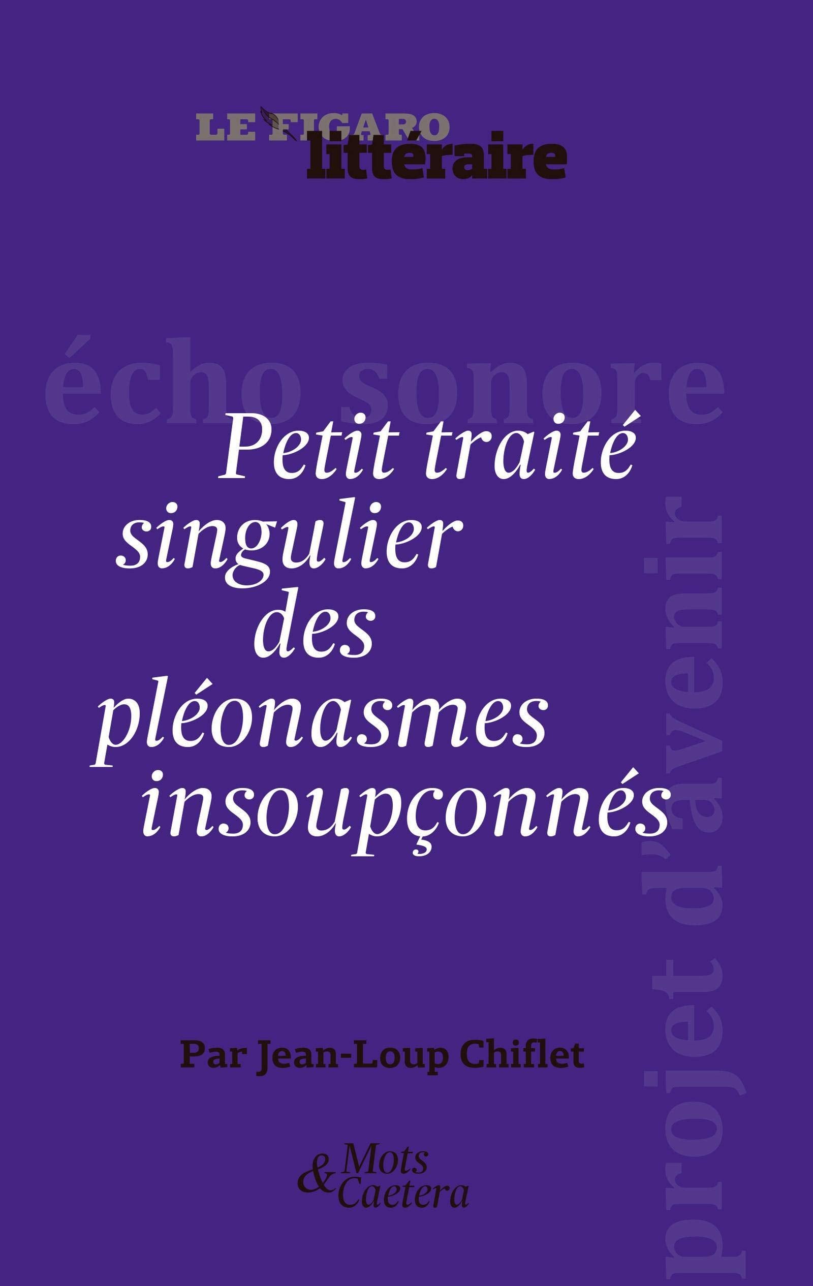 Petit traité singulier des pléonasmes insoupçonnés: attention ! Le pléonasme sonne toujours deux fois... 9782810507702