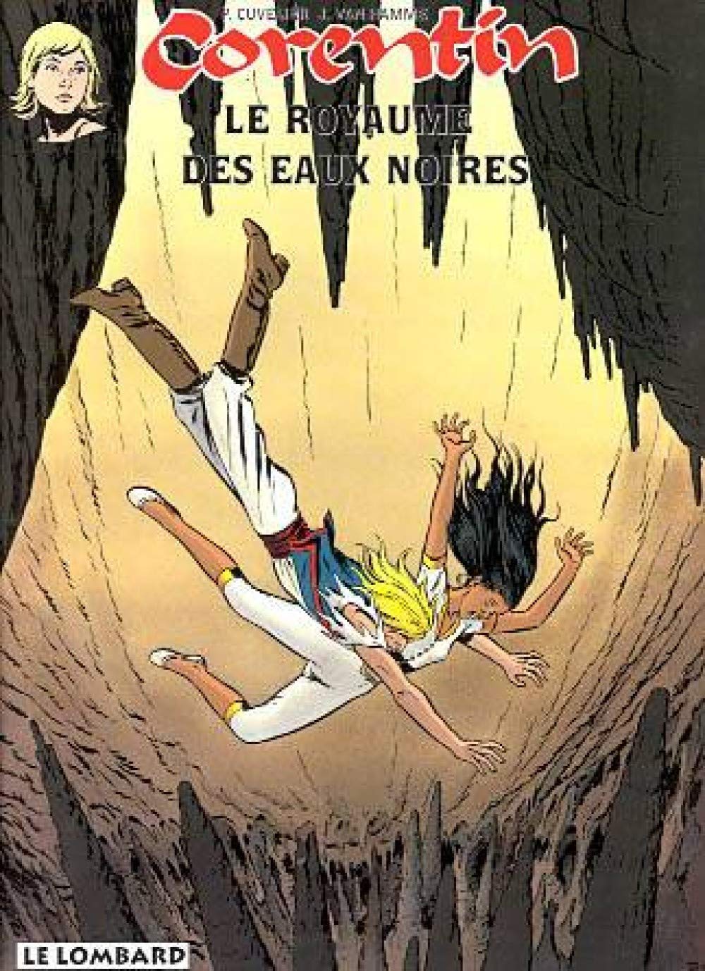 Le Royaume des eaux noires 9782803612505