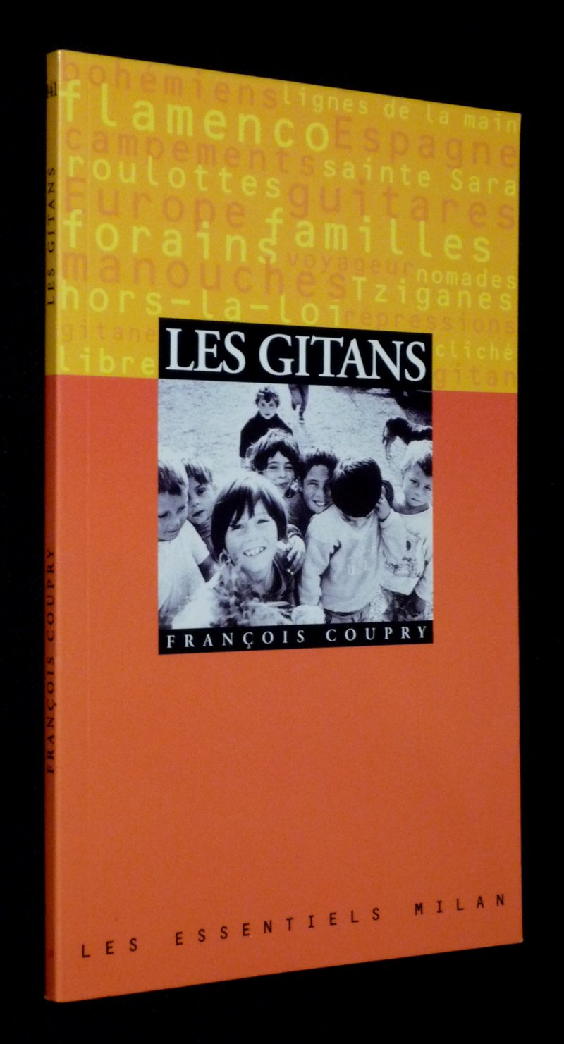 Les gitans 9782841138432