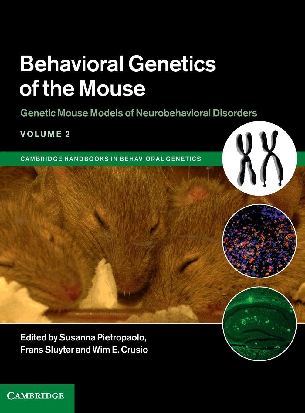 Behavioral Genetics of the Mouse: Volume 2, Genetic Mouse Models of Neurobehavioral Disorders 9781107044456