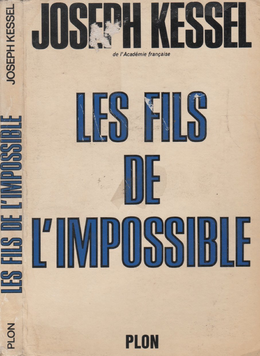 Les fils de l'impossible 9782950403803