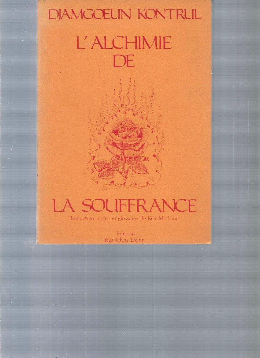 Alchimie de la souffrance 9782864730064