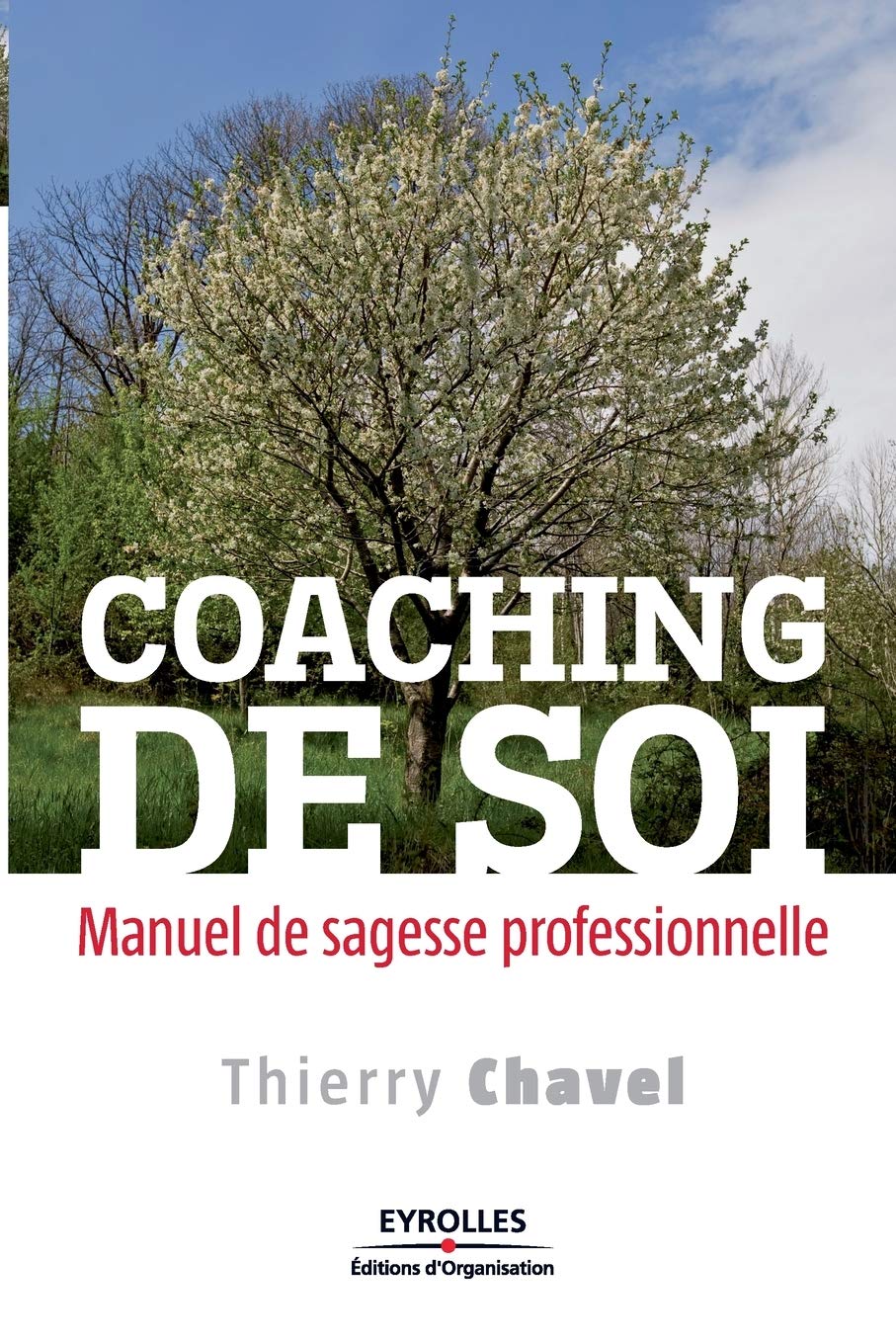 Coaching de soi: Manuel de sagesse professionnelle. 9782212546248