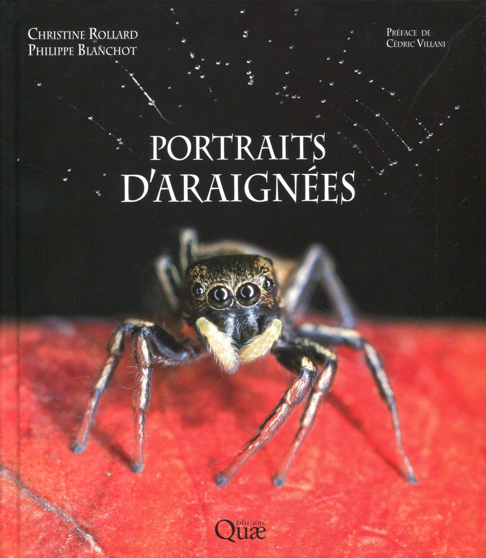 Portraits d'araignées 9782759222278