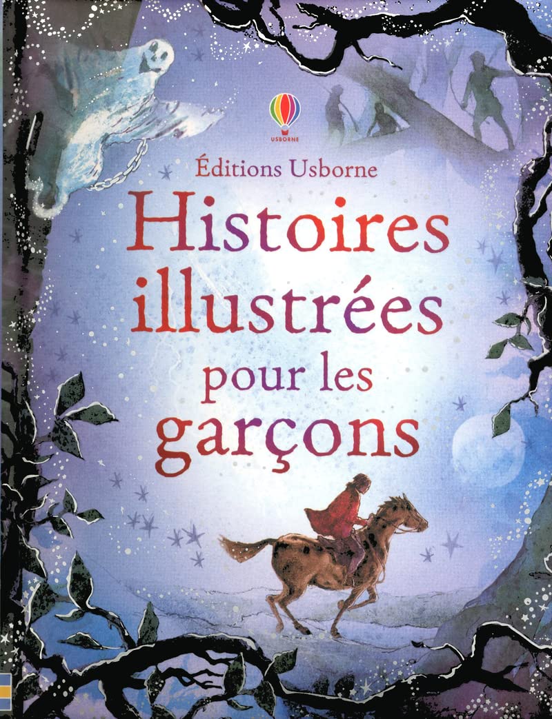 Histoires illustrées pour les garcons 9781409541165