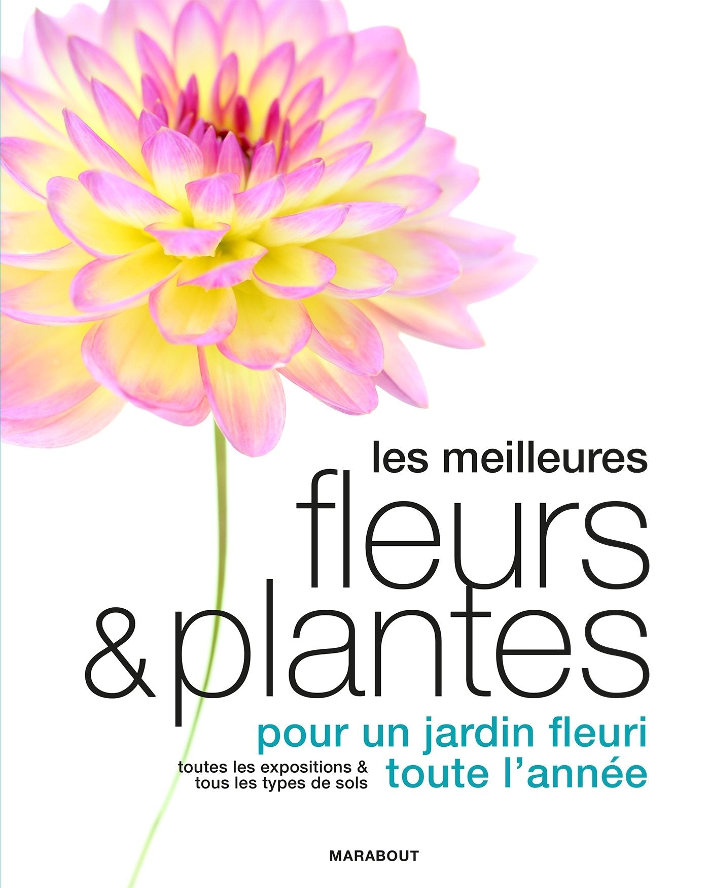 Le grand guide Marabout des plantes 9782501117272