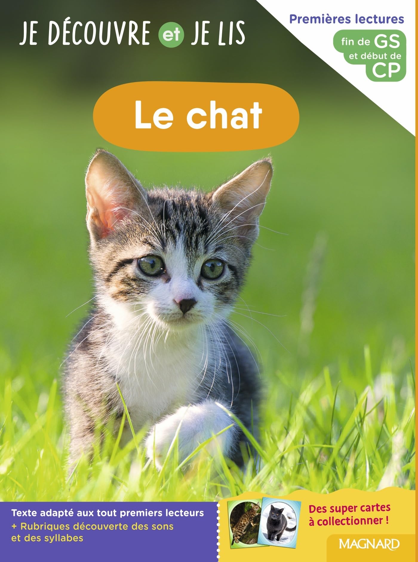 Je découvre et je lis GS et CP - Le chat: Fin de GS et début de CP 9782210785014