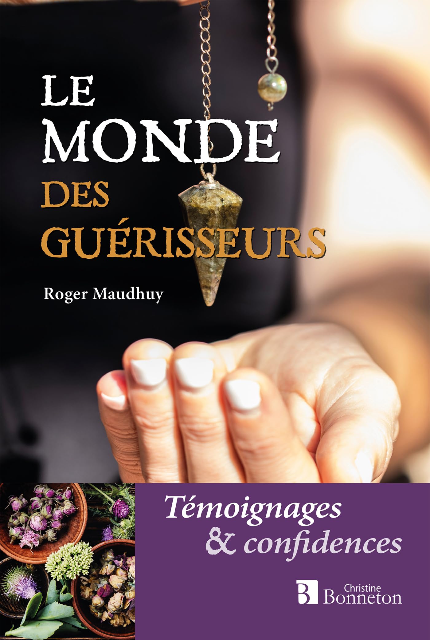 Le monde des guérisseurs: Témoignages et confidences 9782862538037