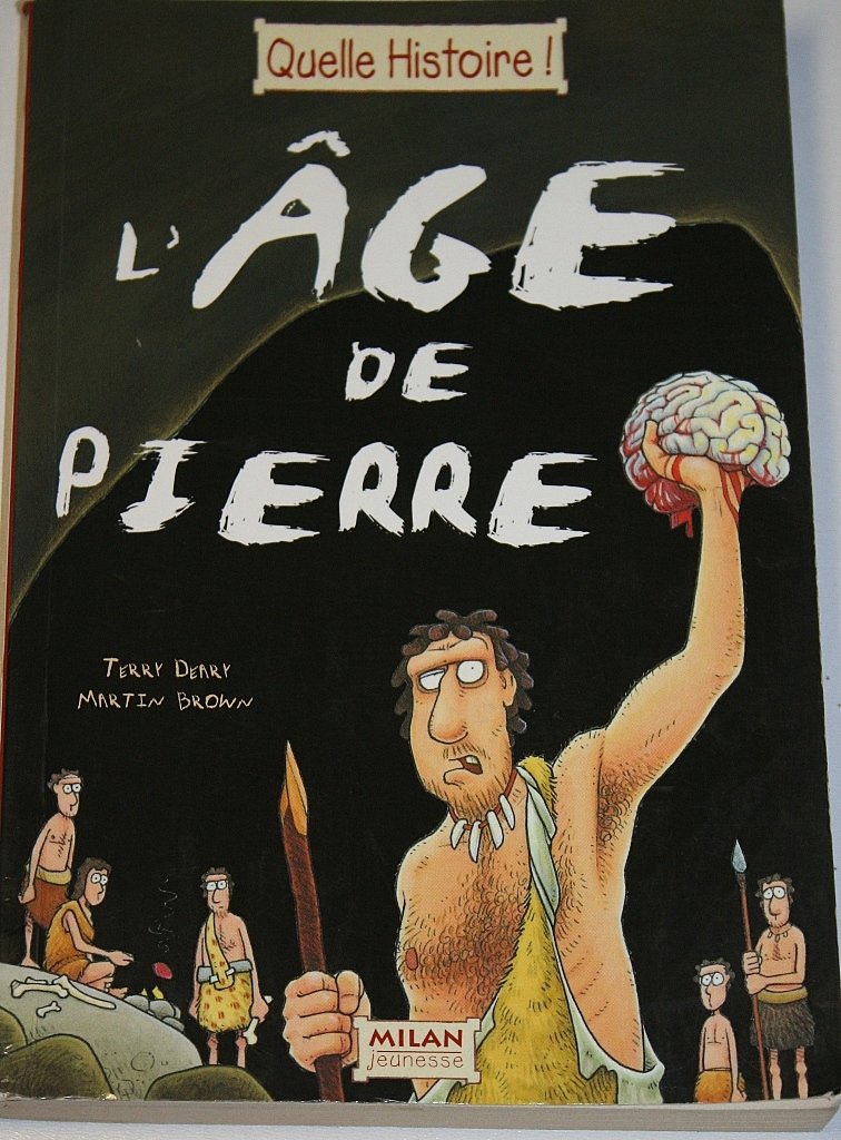 L'Âge de pierre 9782745908193