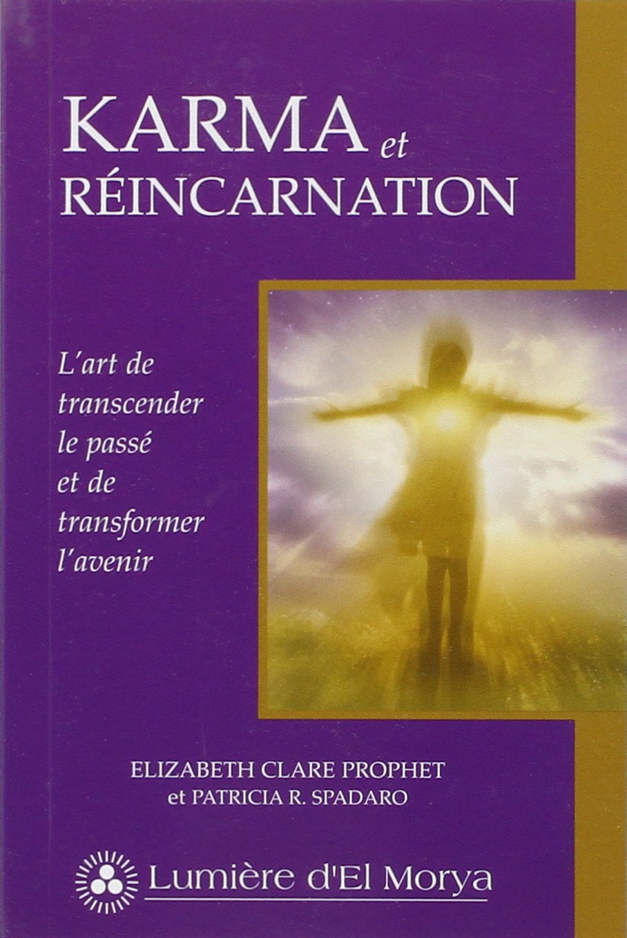Karma et réincarnation 9782922136203