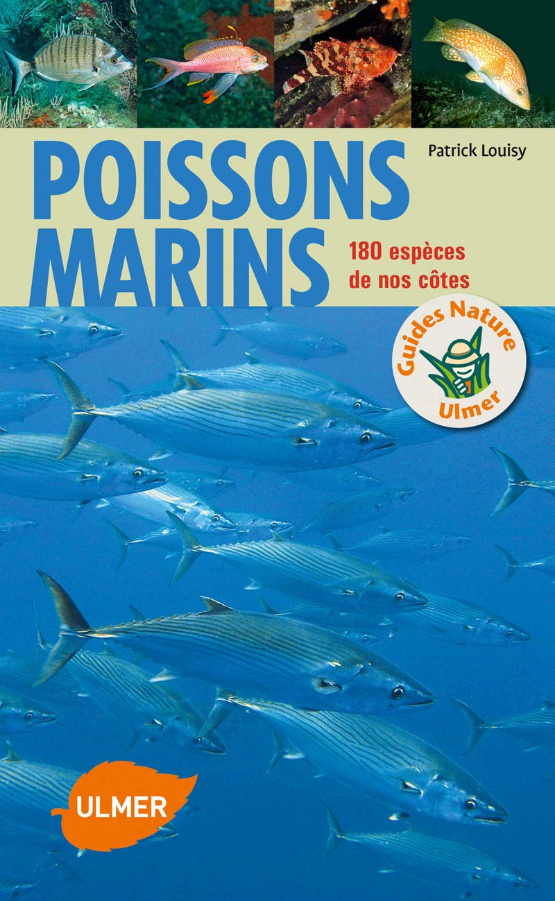 Poissons marins 9782841388622