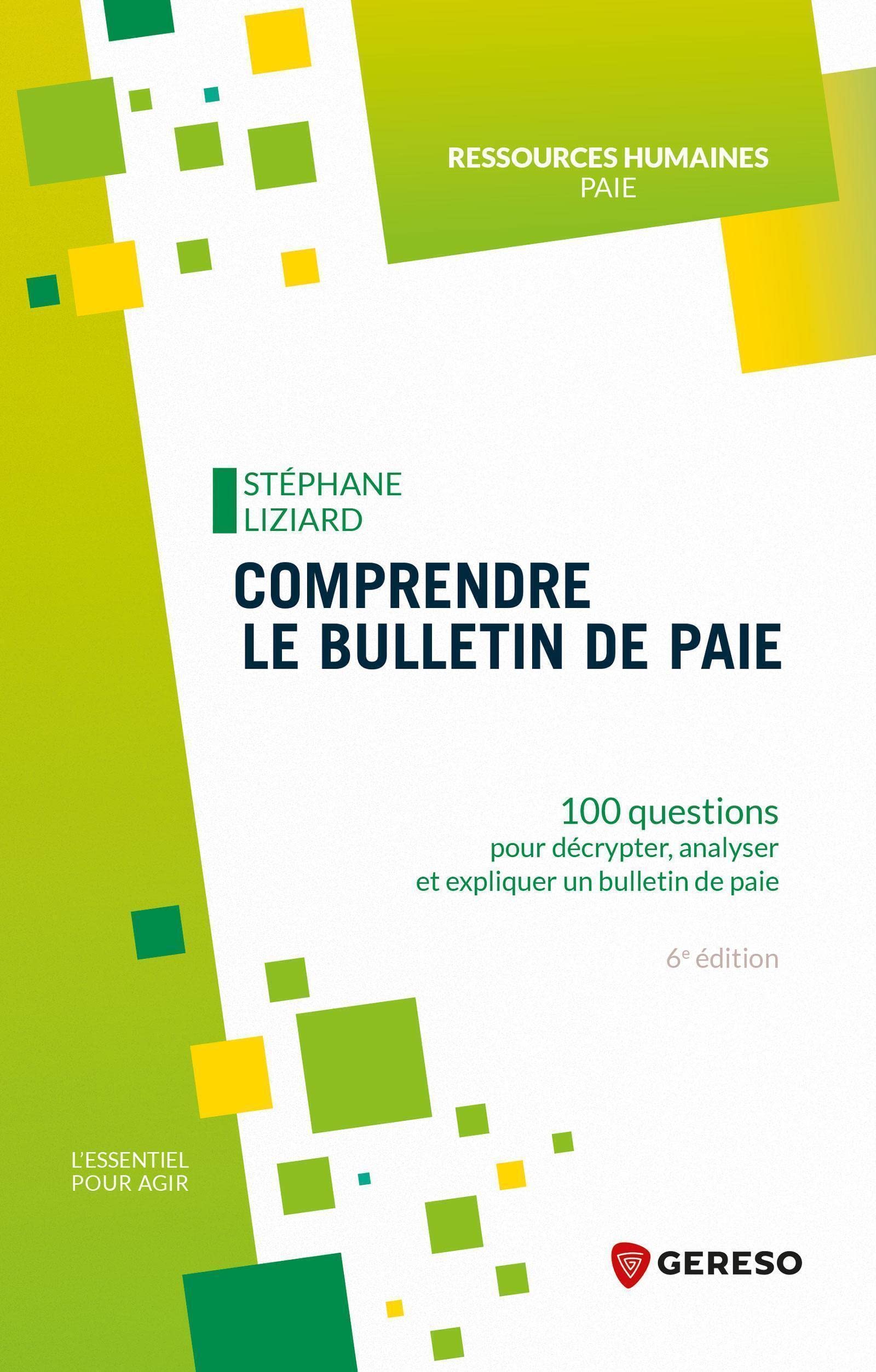 Comprendre le bulletin de paie: 100 questions pour décrypter, analyser et expliquer un bulletin de paie 9791039700894