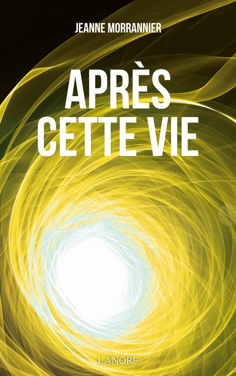 Après cette vie : On nous parle de l'autre monde 9782851570208