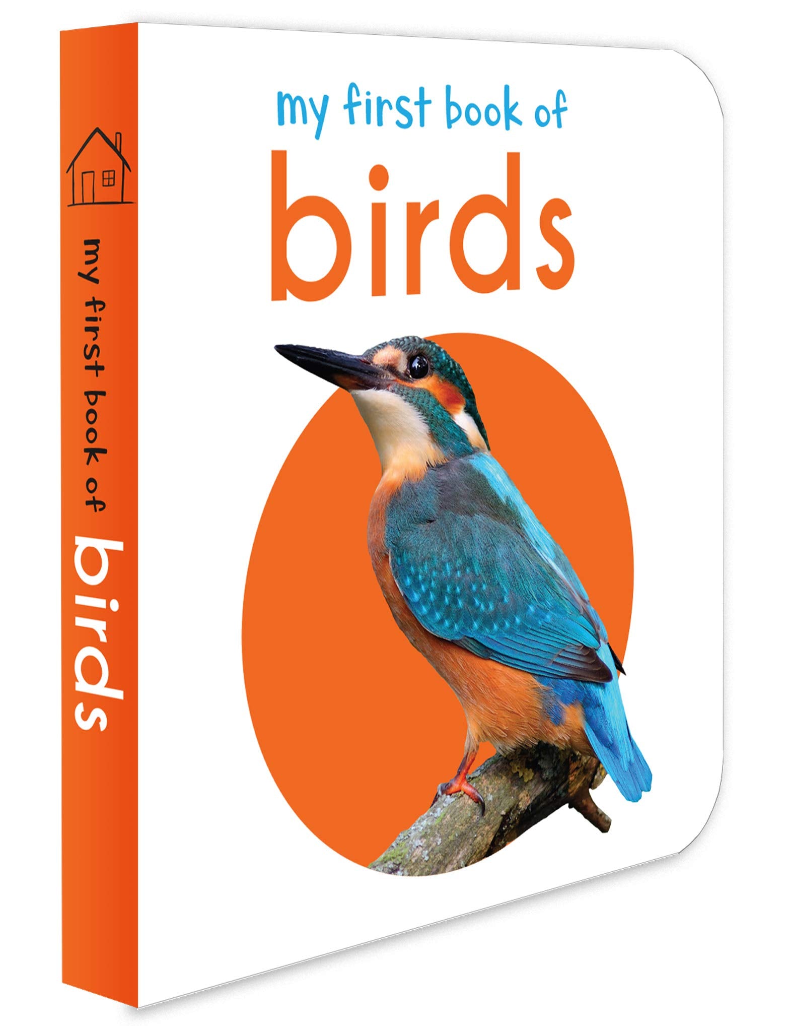My First Book Of Birds 9789386538475