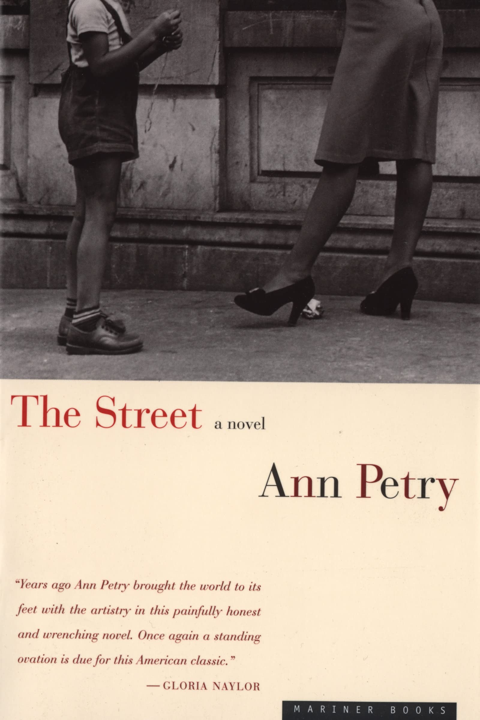 The Street: A Novel 9780395901496