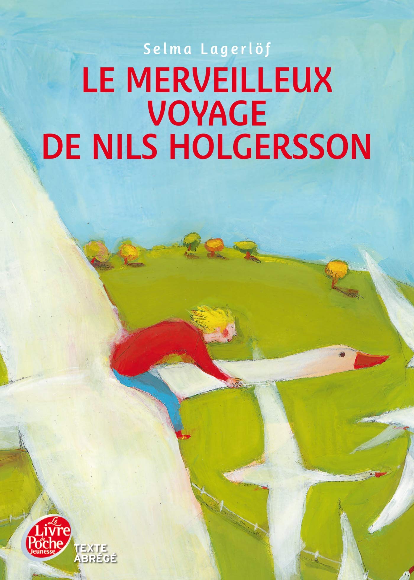 Le merveilleux voyage de Nils Holgersson 9782013225465