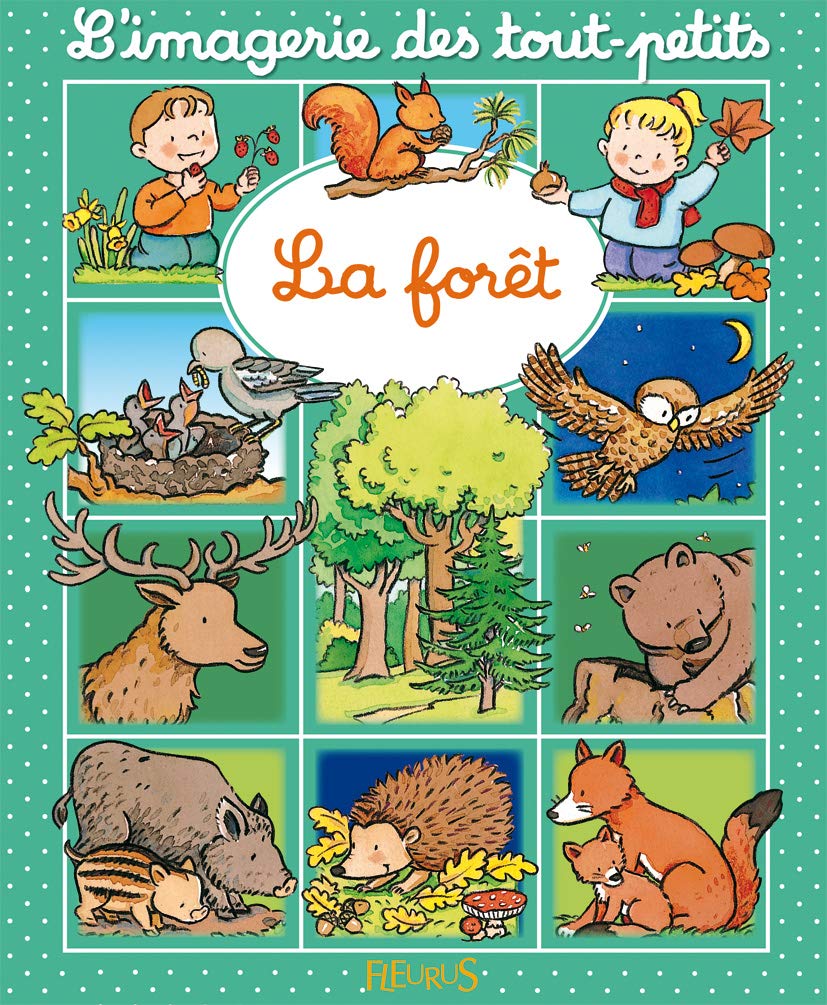 La forêt 9782215067207