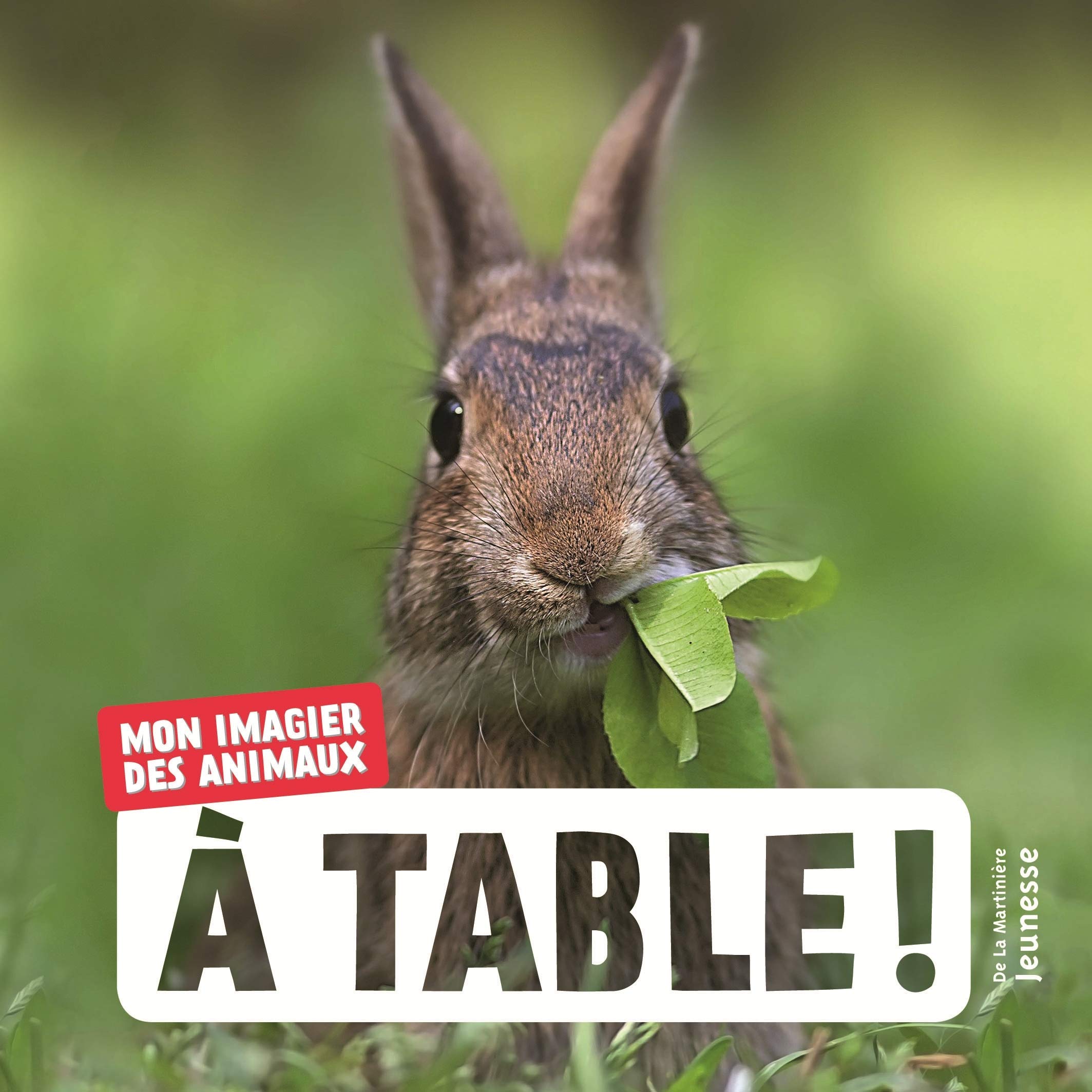 À table !: Mon imagier des animaux 9782732489698