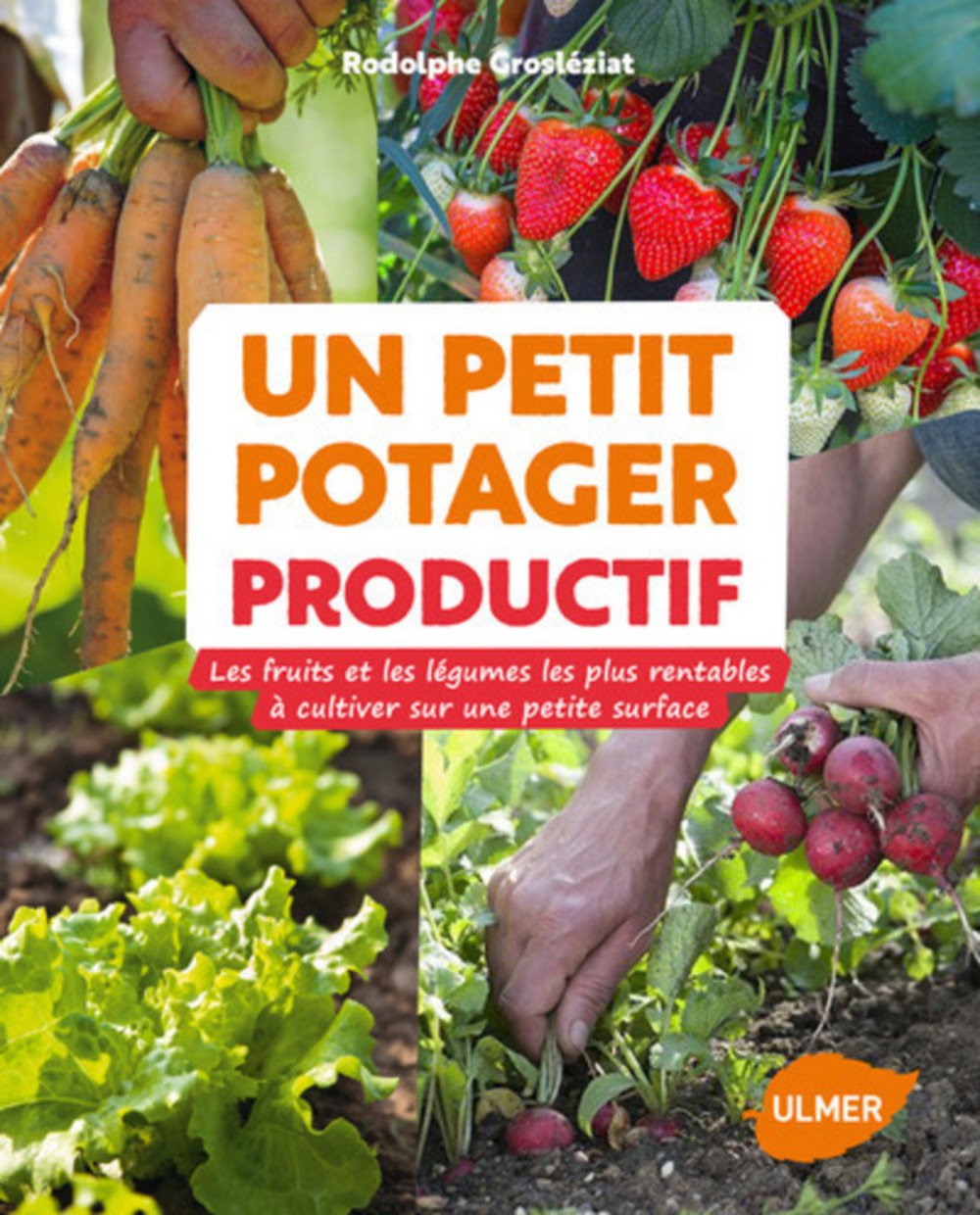 Un petit potager productif 9782841389025