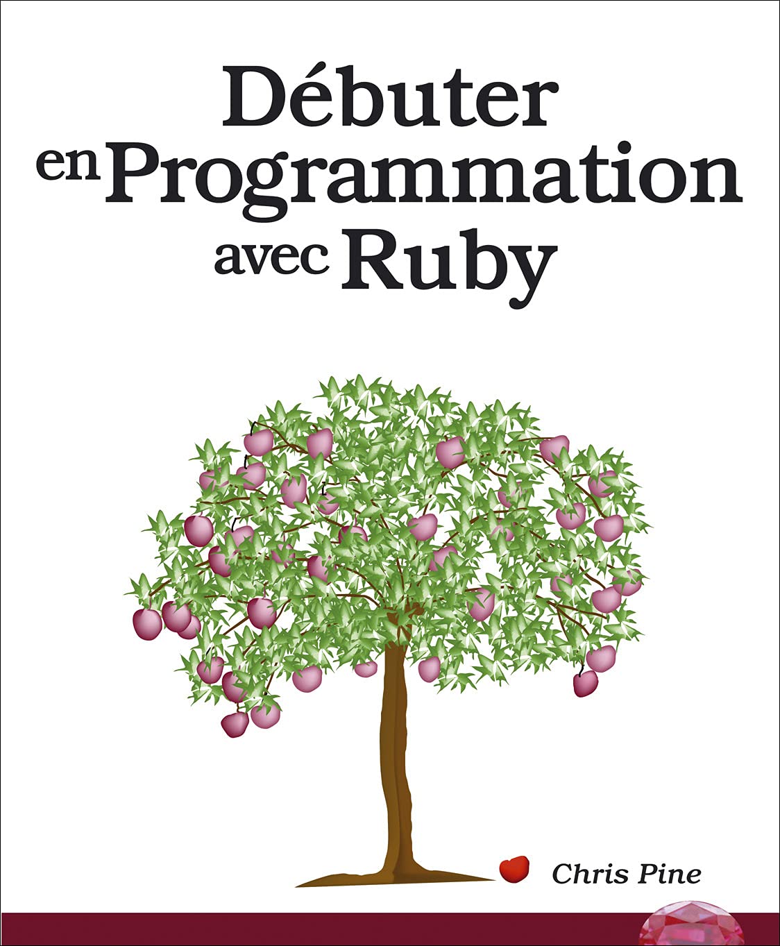 DEBUTER EN PROGRAMMATION AVEC RUBY 9782744020780