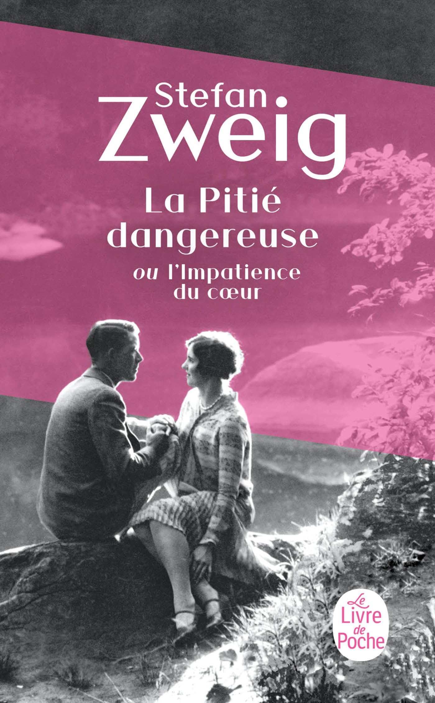 La Pitié dangereuse 9782253167471