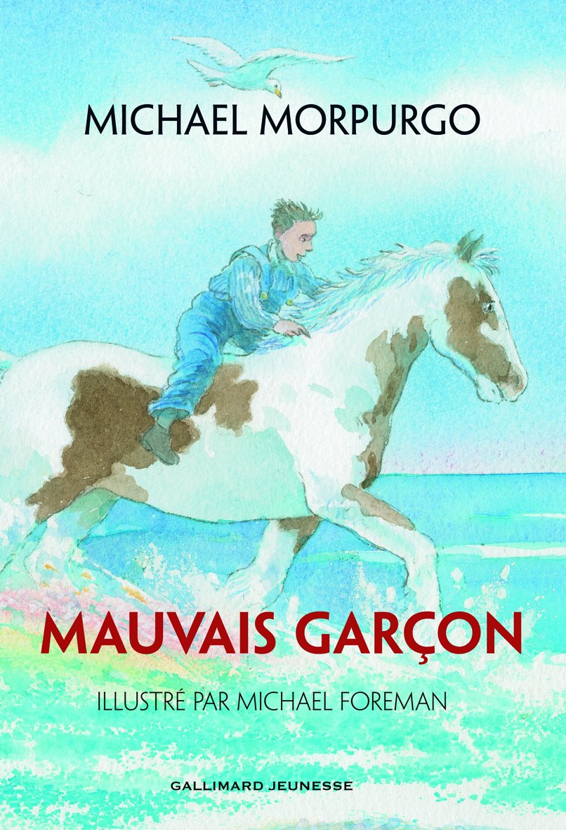 Mauvais garçon 9782070649747