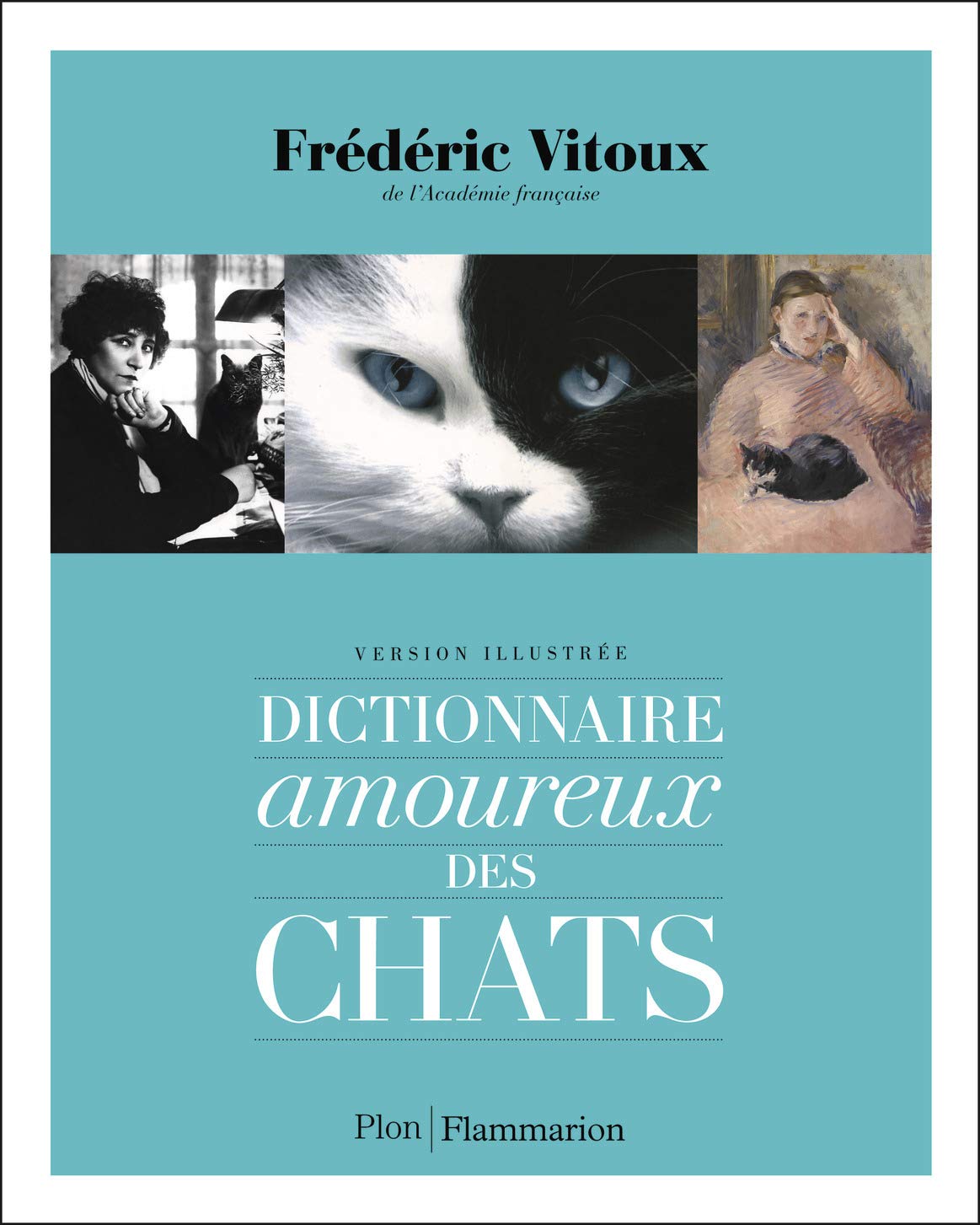 Dictionnaire amoureux des chats 9782081297838