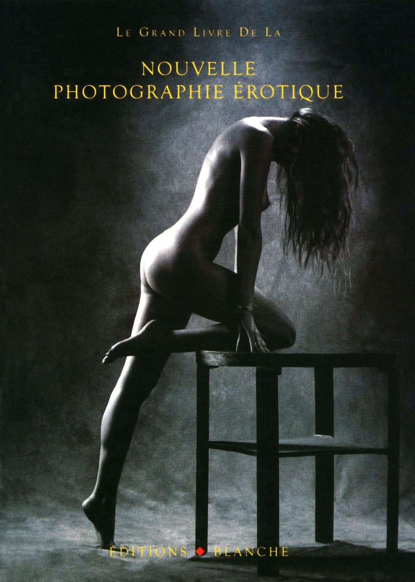 Le grand livre de la nouvelle photo érotique 9782846282635