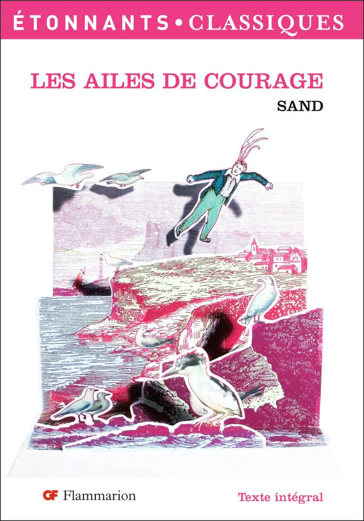 Les Ailes du courage 9782080722782