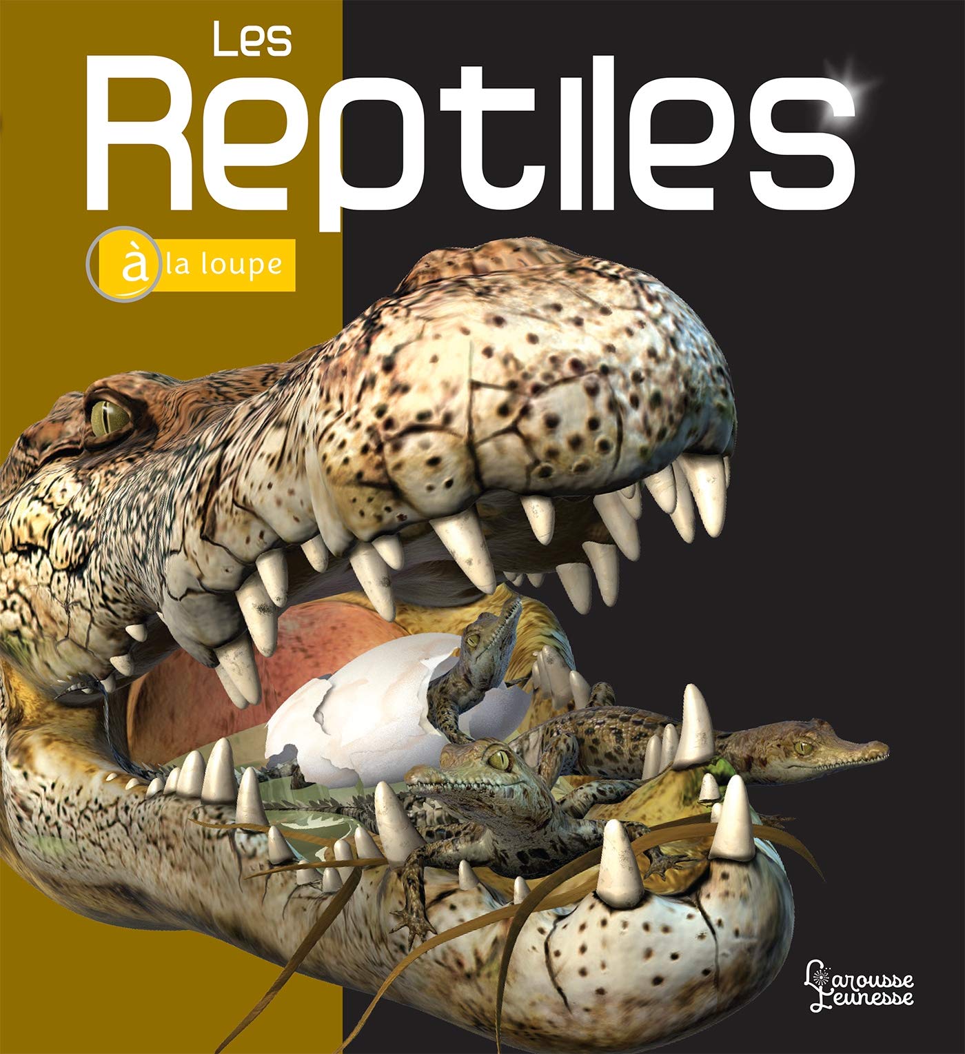 Les Reptiles 9782035979605