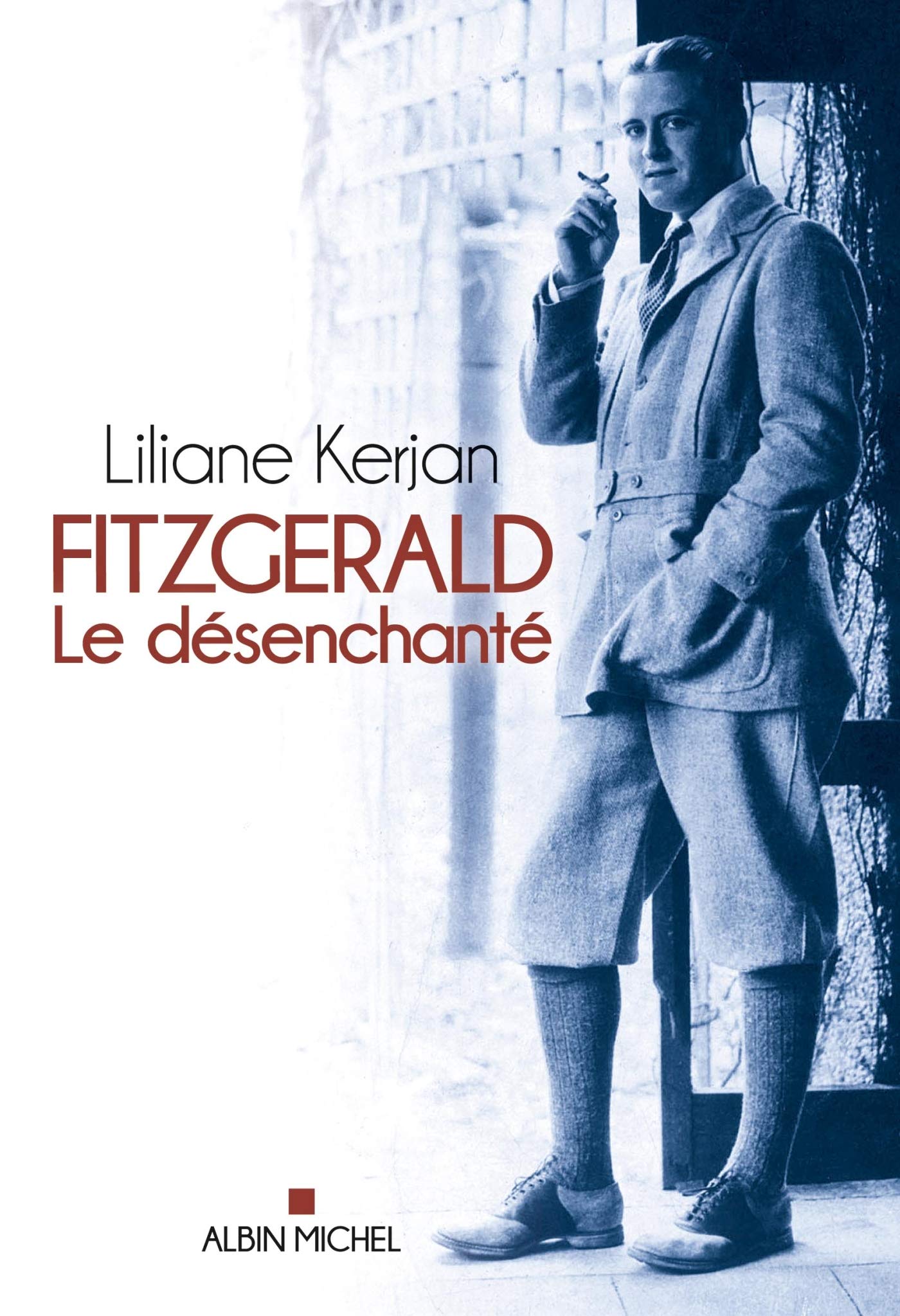 Fitzgerald: Le désenchanté 9782226248497