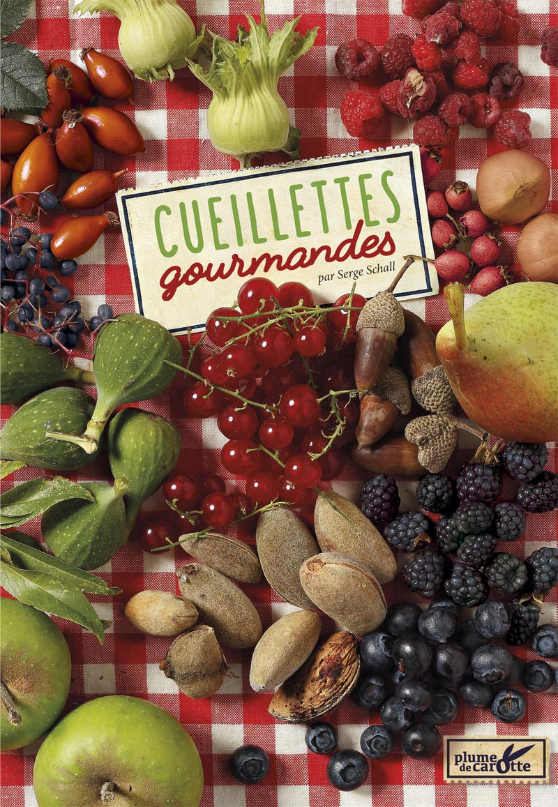 Cueillettes gourmandes 9782366720839