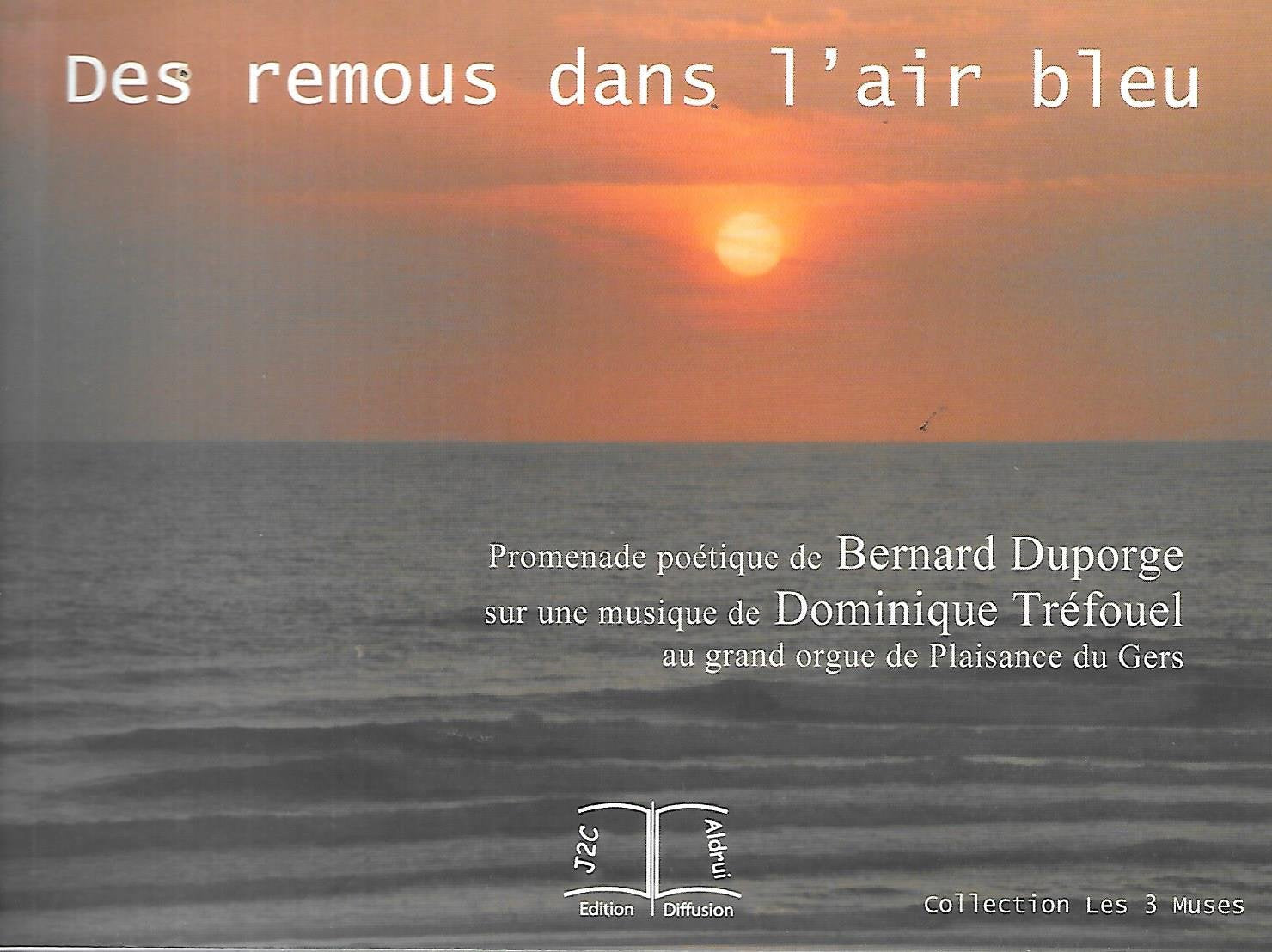 Des remous dans l'air bleu 9782906196131