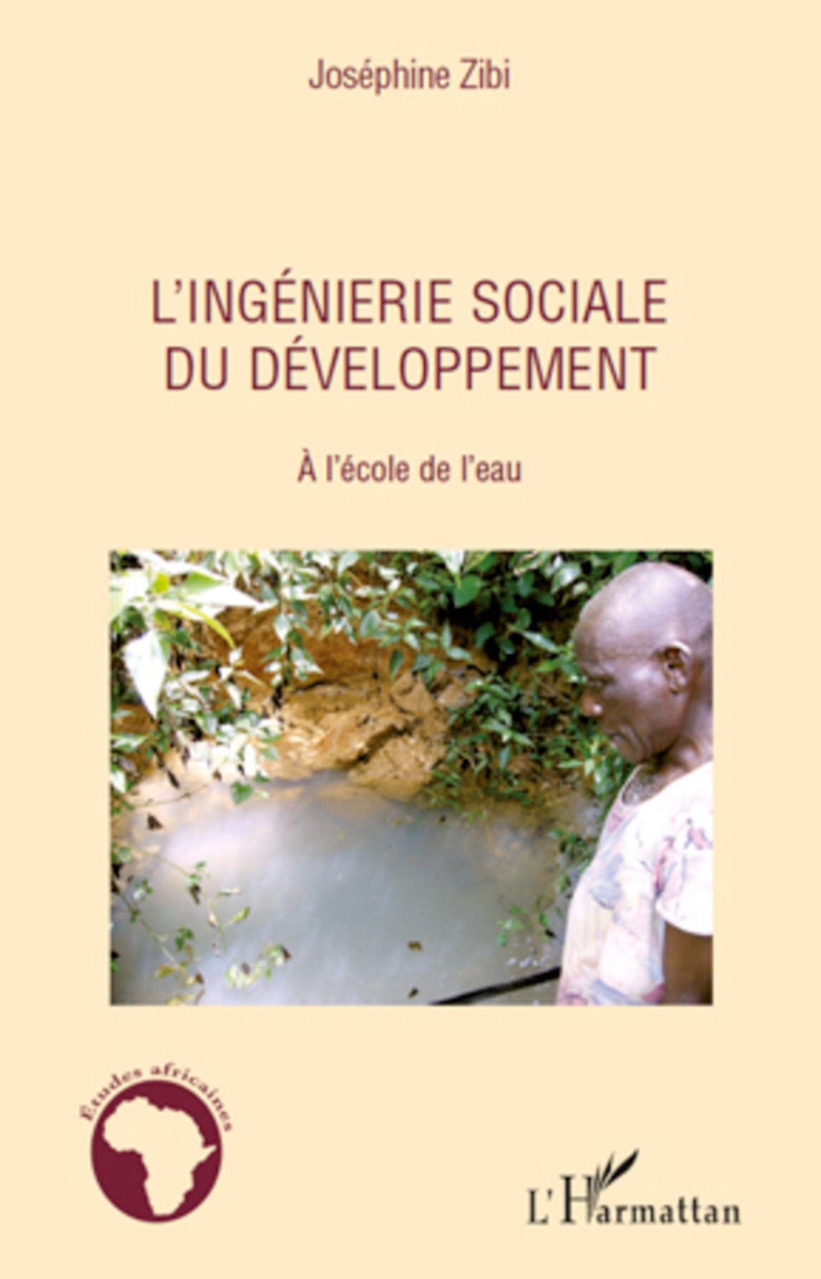 L'ingénierie sociale du développement: A l'école de l'eau 9782296114593