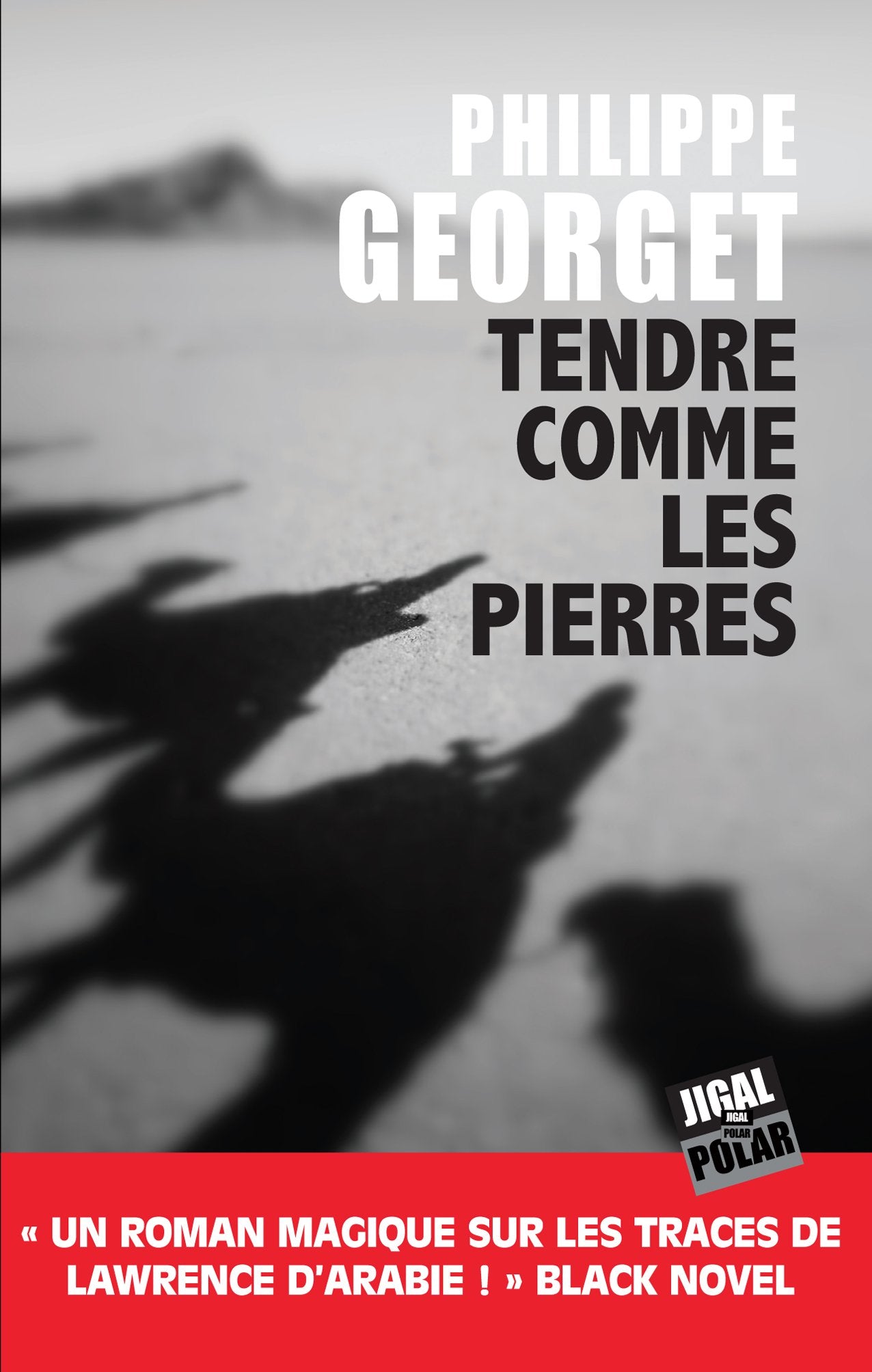 Tendre comme les pierres 9782377220403