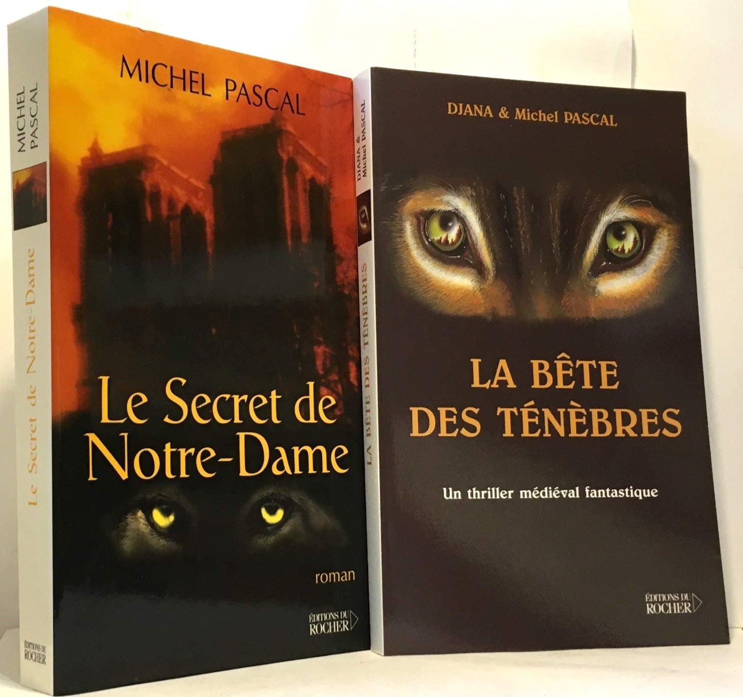 La Bête des ténèbres 9782268048727