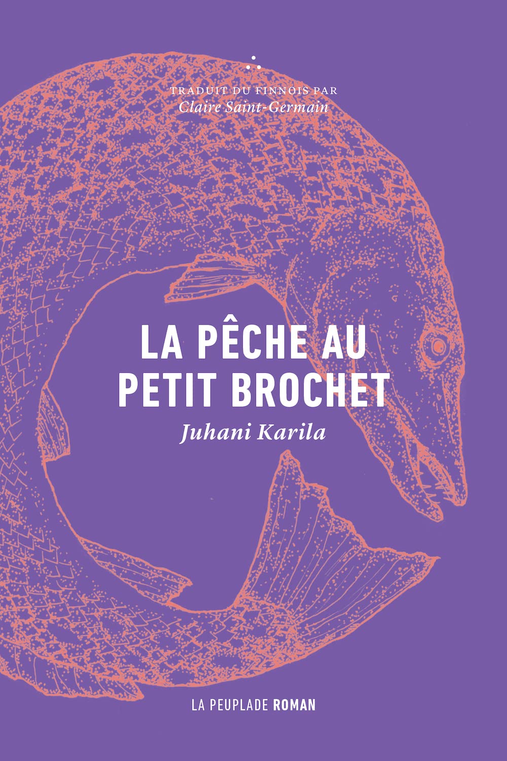 La pêche au petit brochet 9782925141013