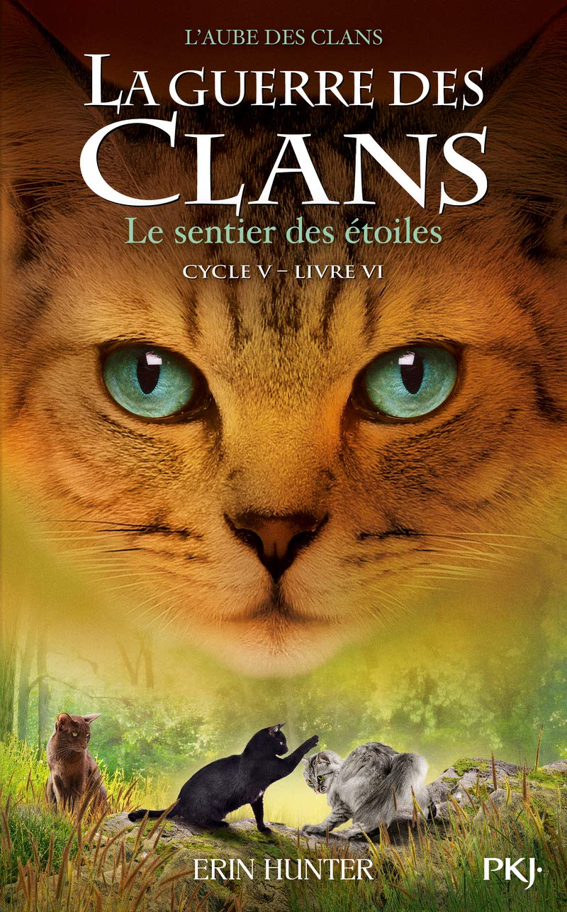 La guerre des Clans, Cycle V - tome 06 : Le sentier des étoiles (6) 9782266305723