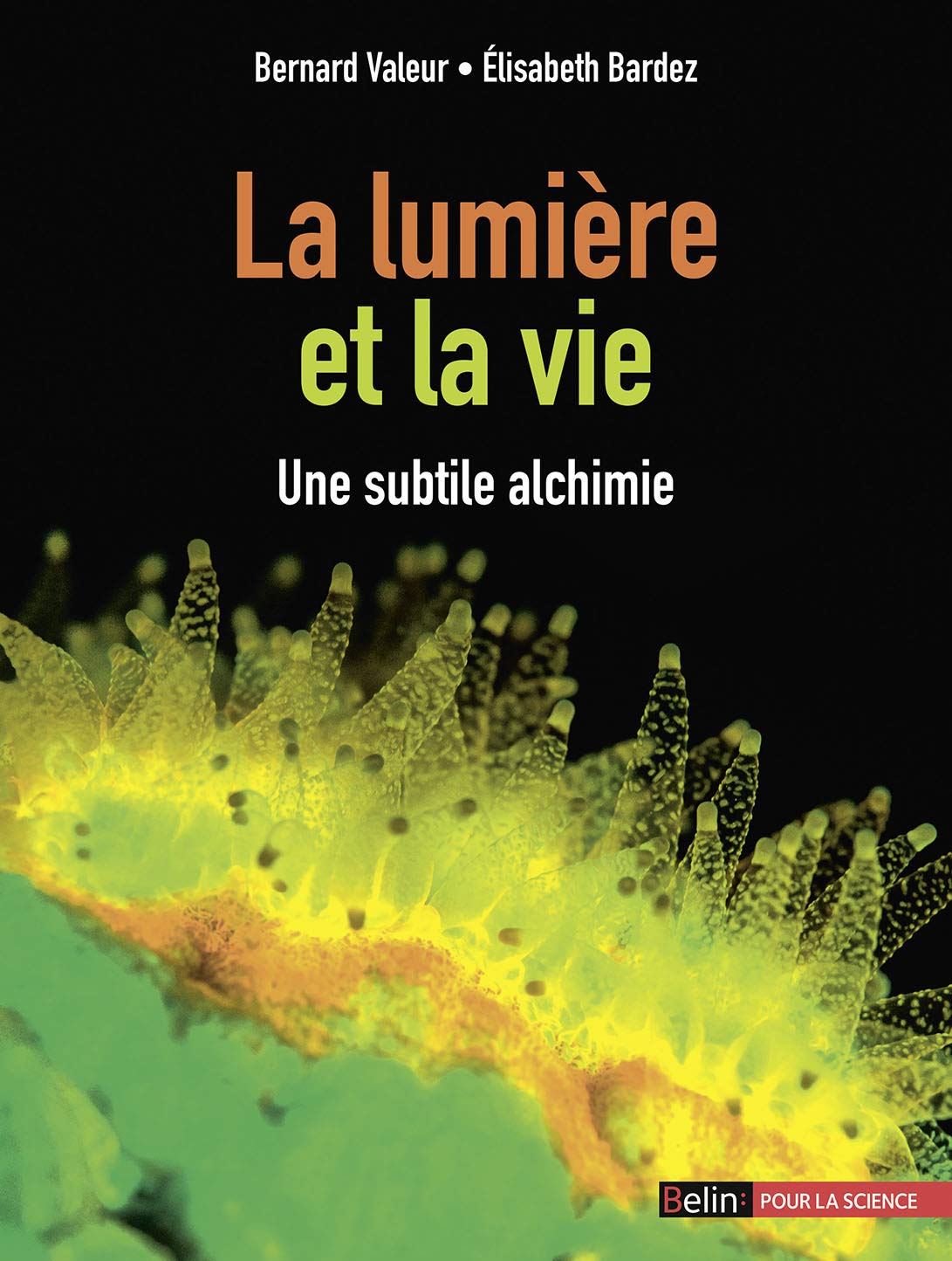 La lumière et la vie: Une subtile alchimie 9782701176888