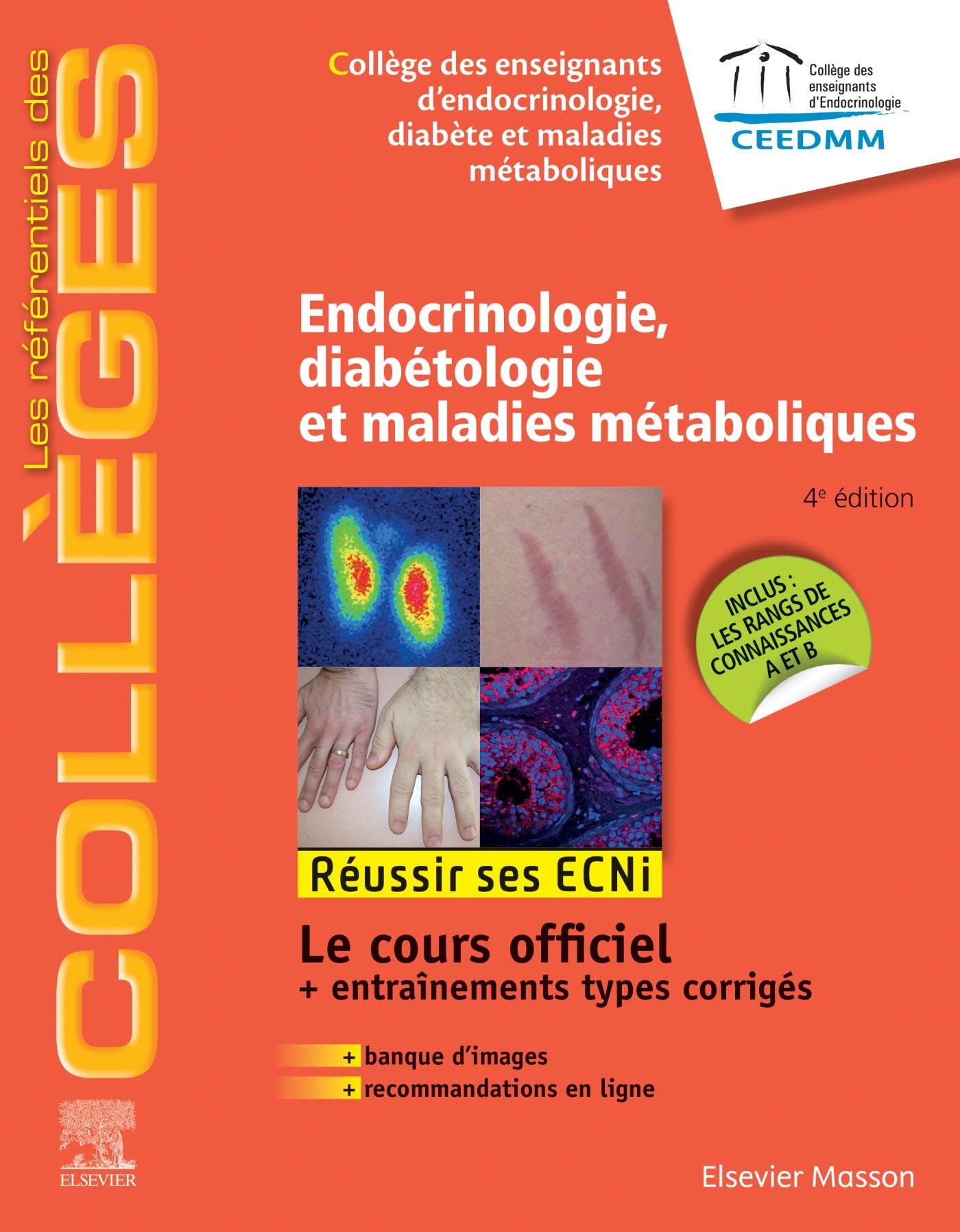 Endocrinologie, diabétologie et maladies métaboliques: Réussir les ECNi 9782294761119