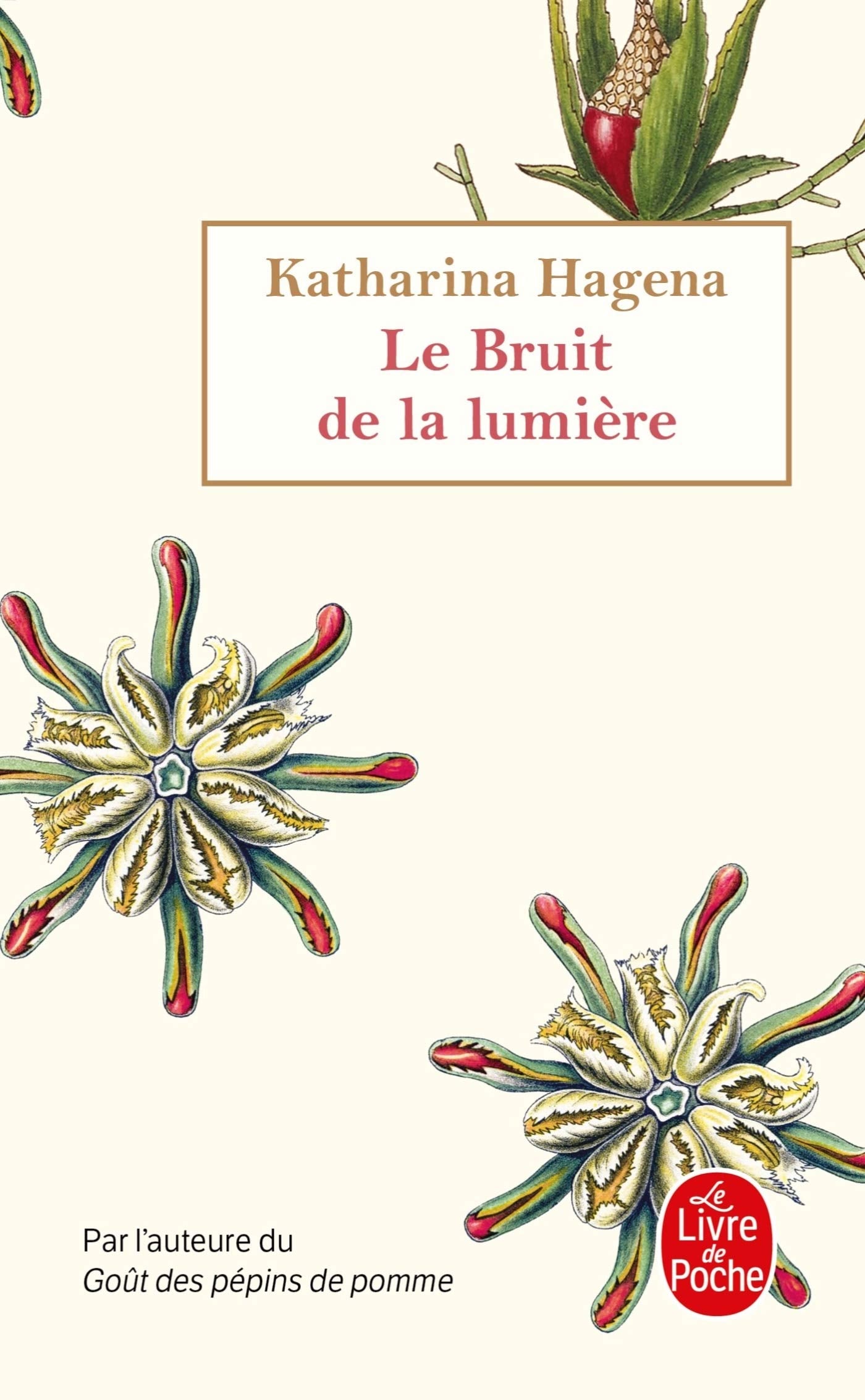 Le Bruit de la lumière 9782253259596