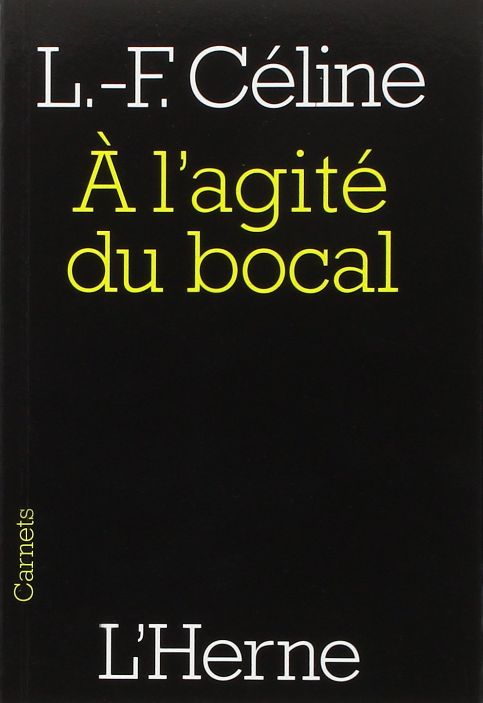 A L'AGITE DU BOCAL 9782851976567