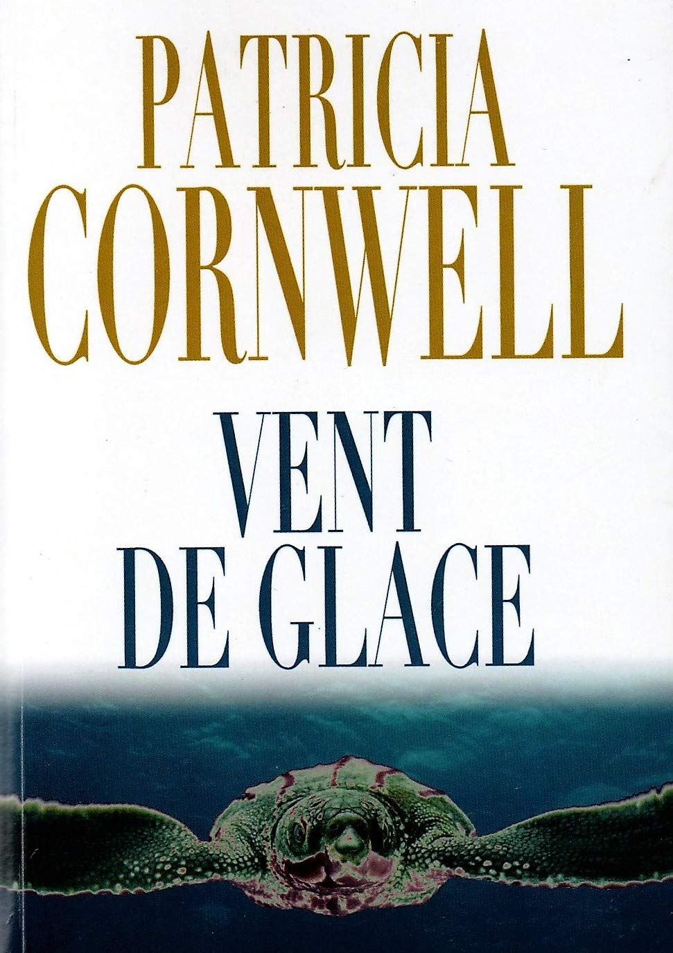 Vent de Glace 9782298068191