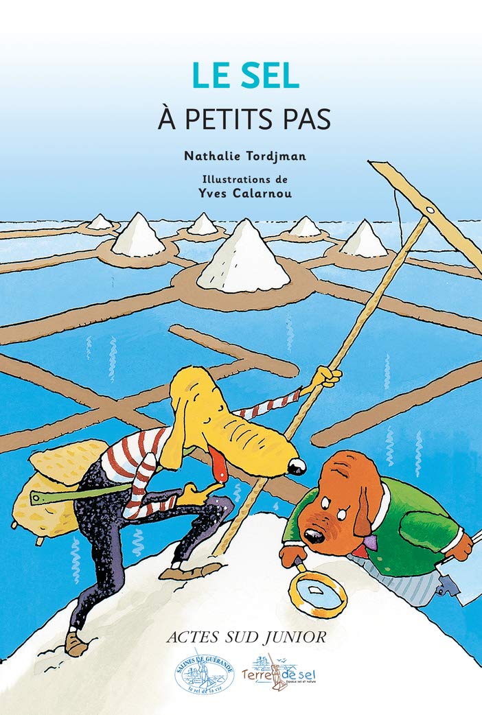 Le Sel à petits pas 9782742780235