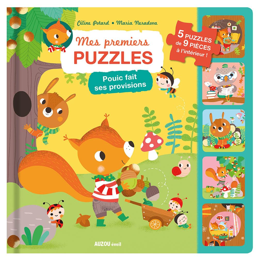 POUIC FAIT SES PROVISIONS 9782733843314