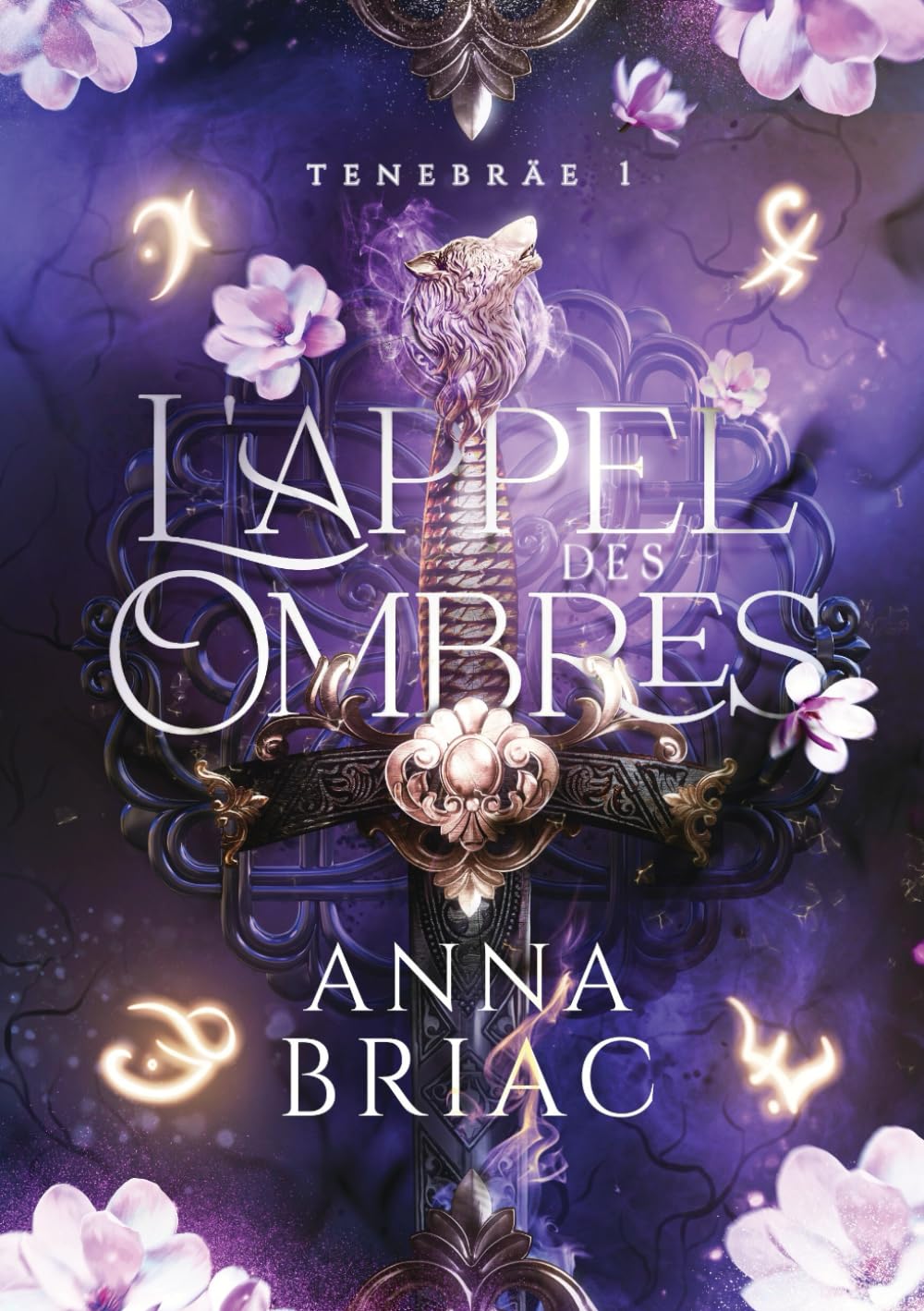 L'appel des Ombres 9782958982249