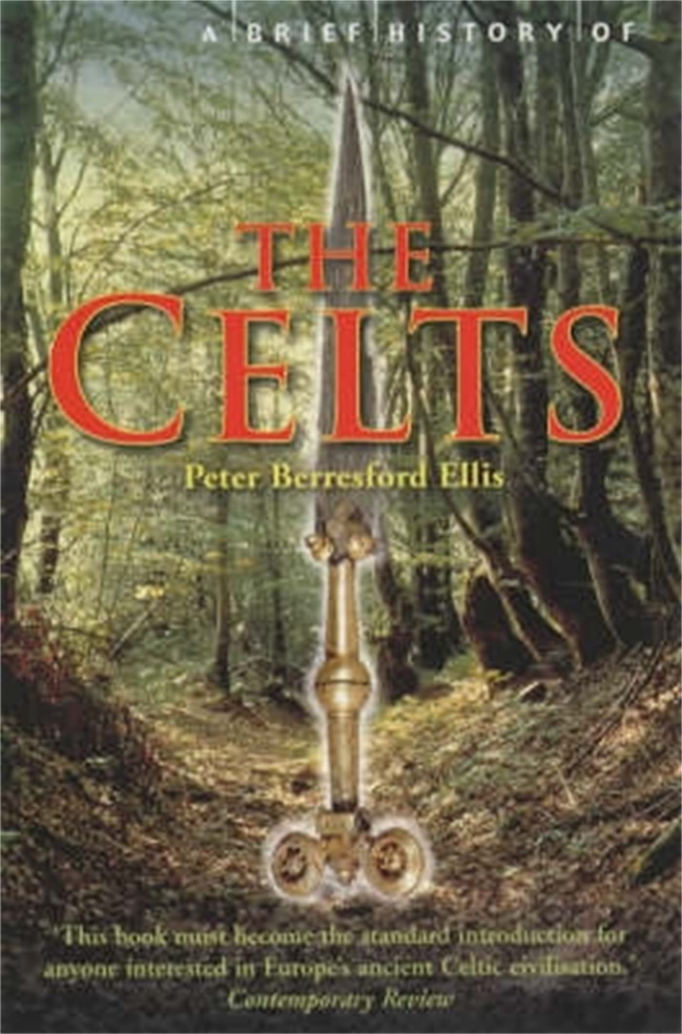 A Brief History of the Celts 9781841197906