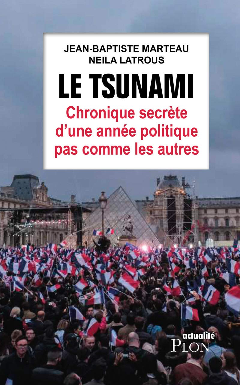 Le tsunami: Chronique secrète d'une année politique pas comme les autres 9782259263887