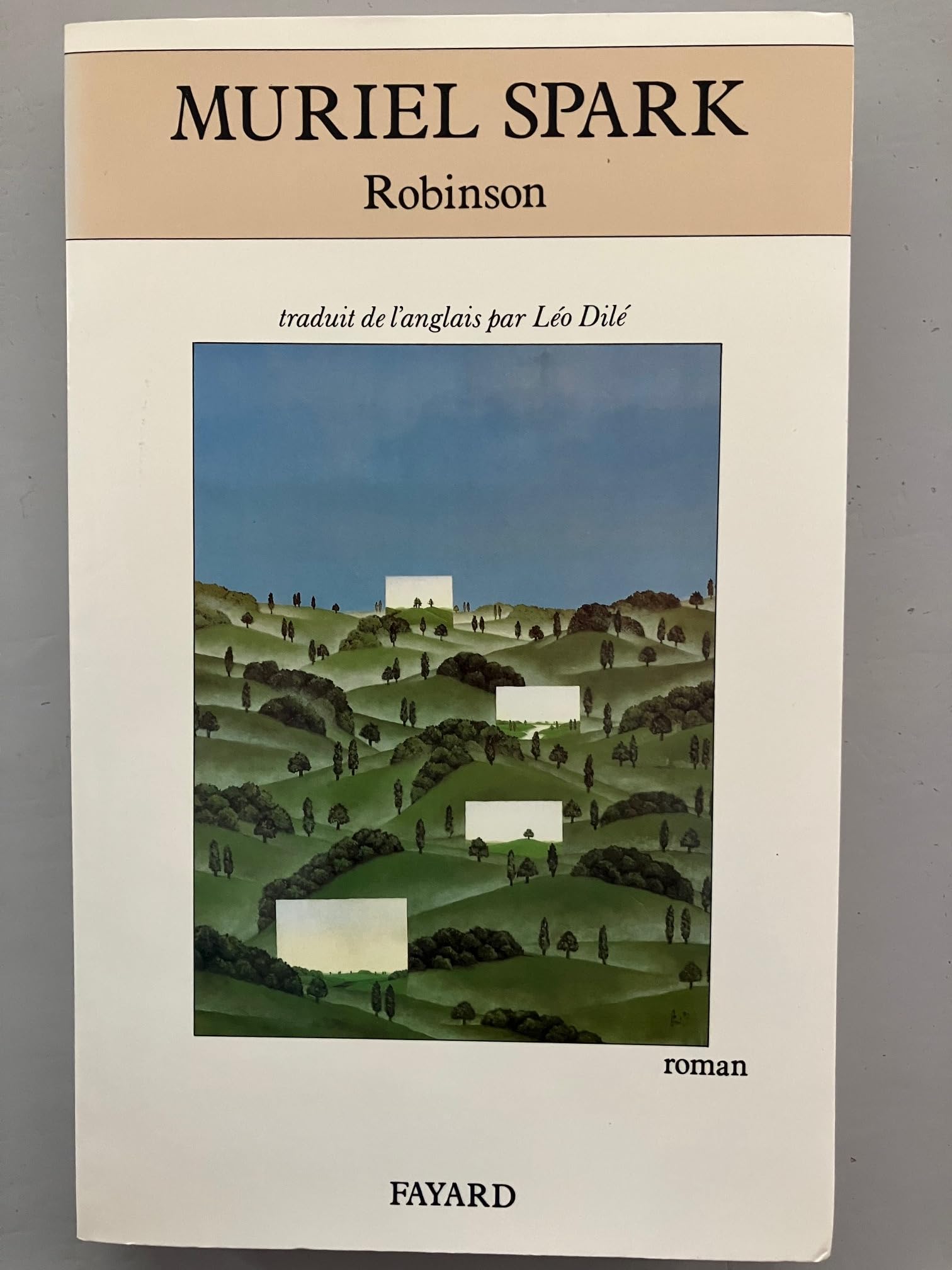 Robinson 9782213030807