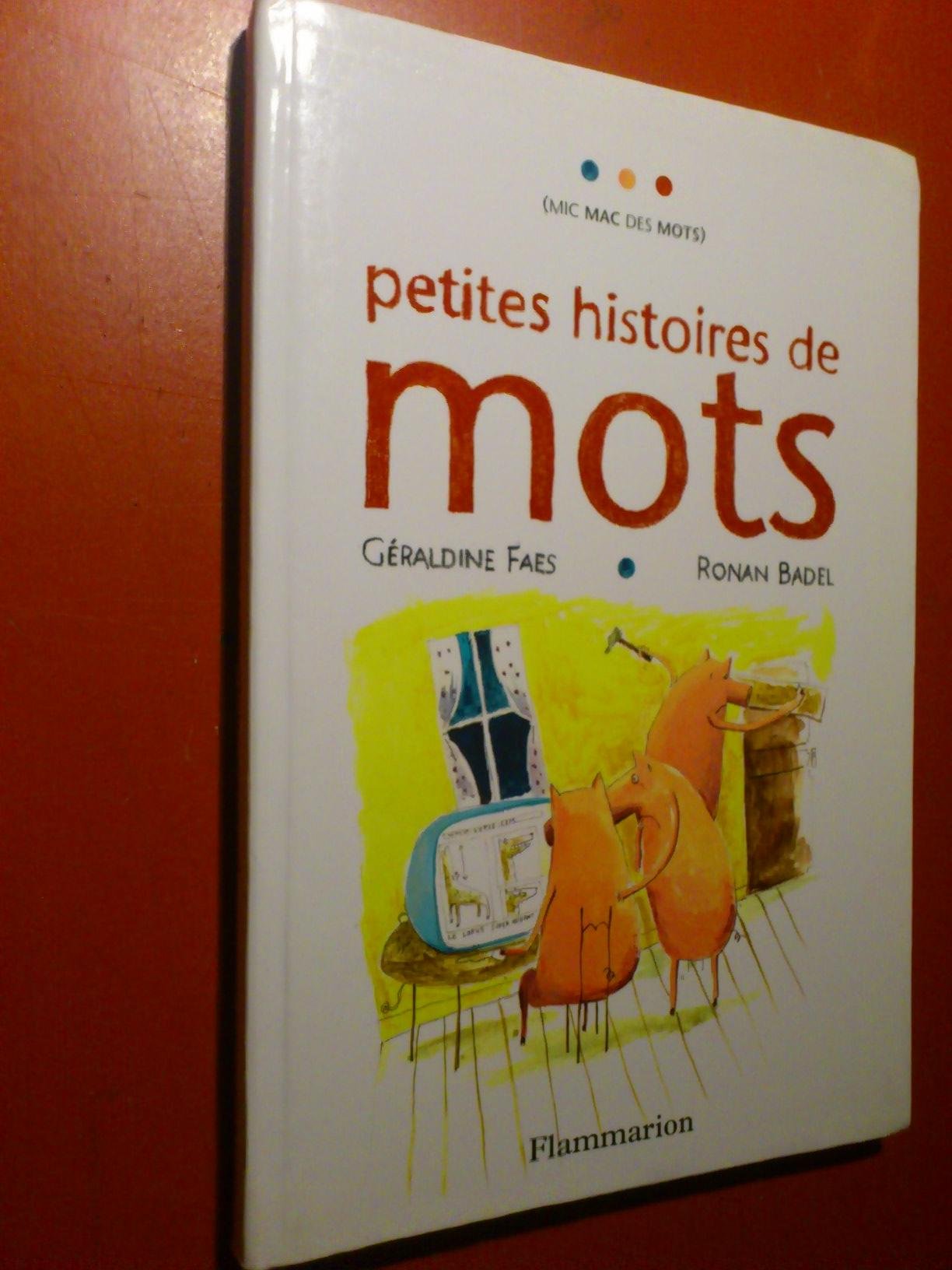 Petites histoires de mots 9782081616301